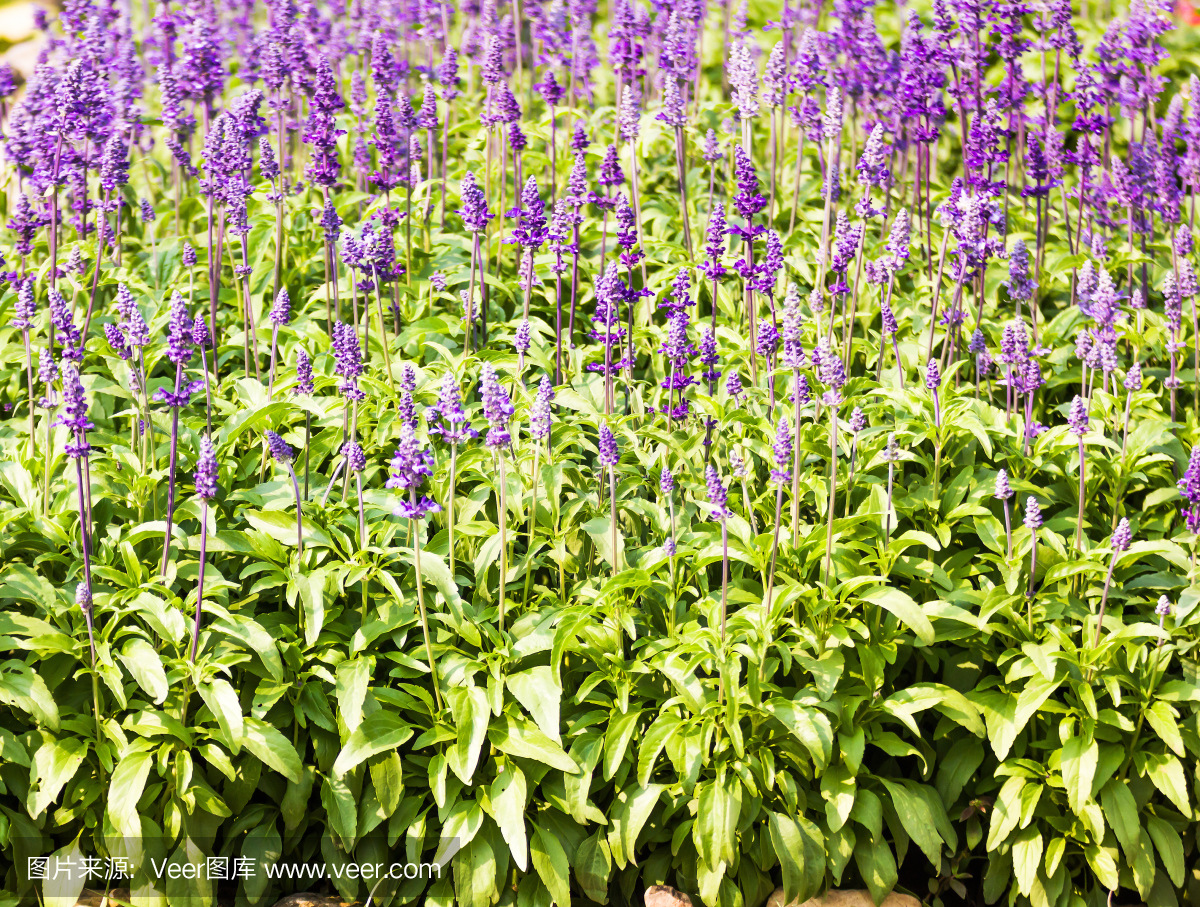 67635b53d46617beefad440d288cd62bc0a4c8a51841bf-eEf8H3