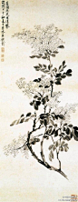 【 清 钱载《丁香图》 】此画撷取白丁香花枝，以水墨勾染描绘其花开似堆雪的景象。以淡墨写枝，晕染成叶。花序以简笔写意勾画，即纵逸洒脱又神清韵足。叶之仰俯向背，皆用笔不同，练达传神。画面清新素雅，秀丽天然。上海博物馆藏。