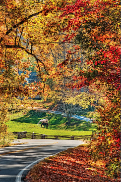 小鱼儿悠然采集到风景