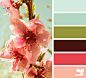 Design Seeds® | find your palette