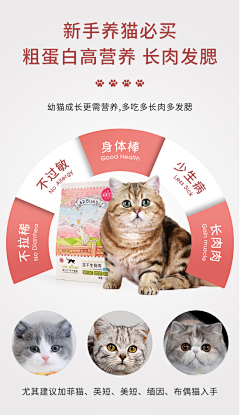 招福猫采集到动物类