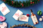 Christmas Assets & Mock Ups Pack | Store Mockup Zone