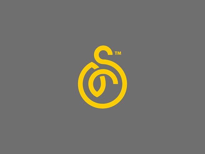 S Logo