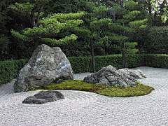 禽兽花园/ty采集到园林 小景