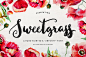 MakeMedia Company设计的Sweetgrass香根草植物矢量字体