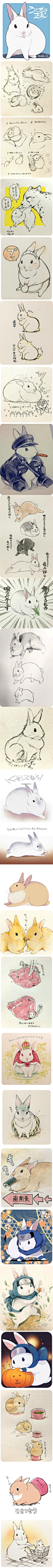 兔兔即为正义——井口病院(id950277) 笔下可爱的兔兔们 附上兔兔的绘画教程
