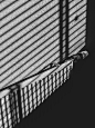 black and white photo of a window blinds