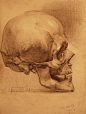 human anatomy 8 by ivany86 on deviantART