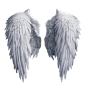 Angel wings stock PNG by Shadow-of-Nemo