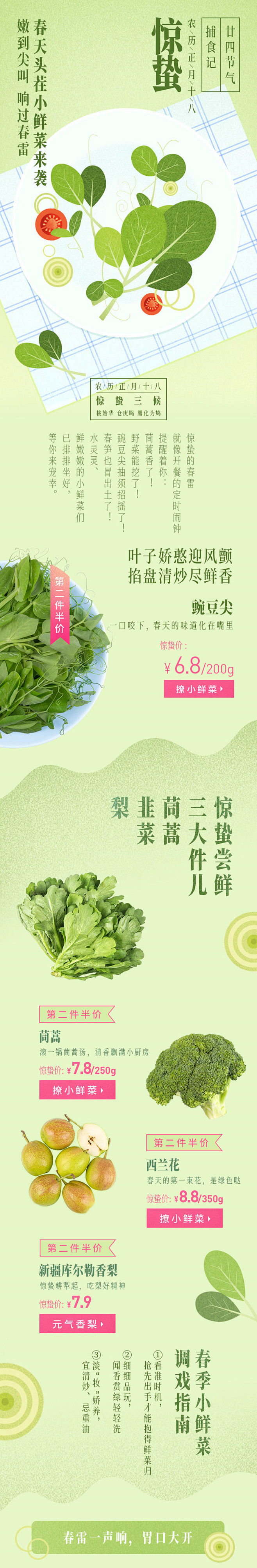 春季小鲜菜 惊蛰 二十四节气 蔬菜