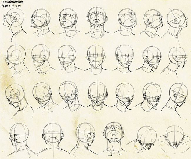 文章-人物头部的多角度参考 | 半次元-...