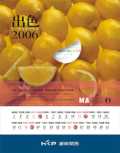 2007年历样本版式设计欣赏