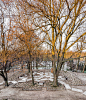 奥斯维辛纪念公园，砂岩板铺就的人生之路 / NArchitekTURA – mooool木藕设计网