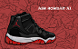 球鞋插画 Air Jordan 11