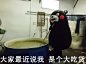 #熊本熊##kumamon##吃货表情#