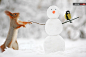 【采集自：網易·圖片】2015年12月24日报道（具体拍摄时间不详），俄罗斯，31岁的摄影师Vadim Trunov记录了冬季树林里的欢乐时刻，照片中有一只觅食的小鸟，和一只欢快的松鼠，以及一个沉默的雪人。东方IC