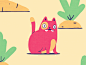 Cat prores dribbble