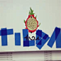 pitaya logo - 必应 images
