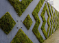 moss graffiti grows on walls by anna garforth - designboom | architecture & design magazine