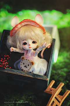 龙魂人形社采集到龙魂人形社 8分 小宠 BJD娃娃 啾咪