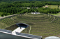 tadao ando hill buddha