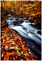 Photograph Oregon Brook Autumn by Joseph Rossbach on 500px