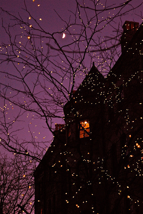 夜间灯光，普林斯顿，新泽西州