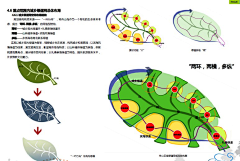 Sunshine安东采集到分析图