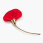 Elsa Peretti® Amapola brooch in 18k gold with red silk.