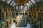 英国自然历史博物馆位于伦敦南肯辛顿区，欧洲最大的自然历史博物馆。除了丰富的馆藏，博物馆的建筑本身也十分迷人，为维多利亚式建筑，形似中世纪大教堂，庄严又不失华美，也被称为自然大教堂。