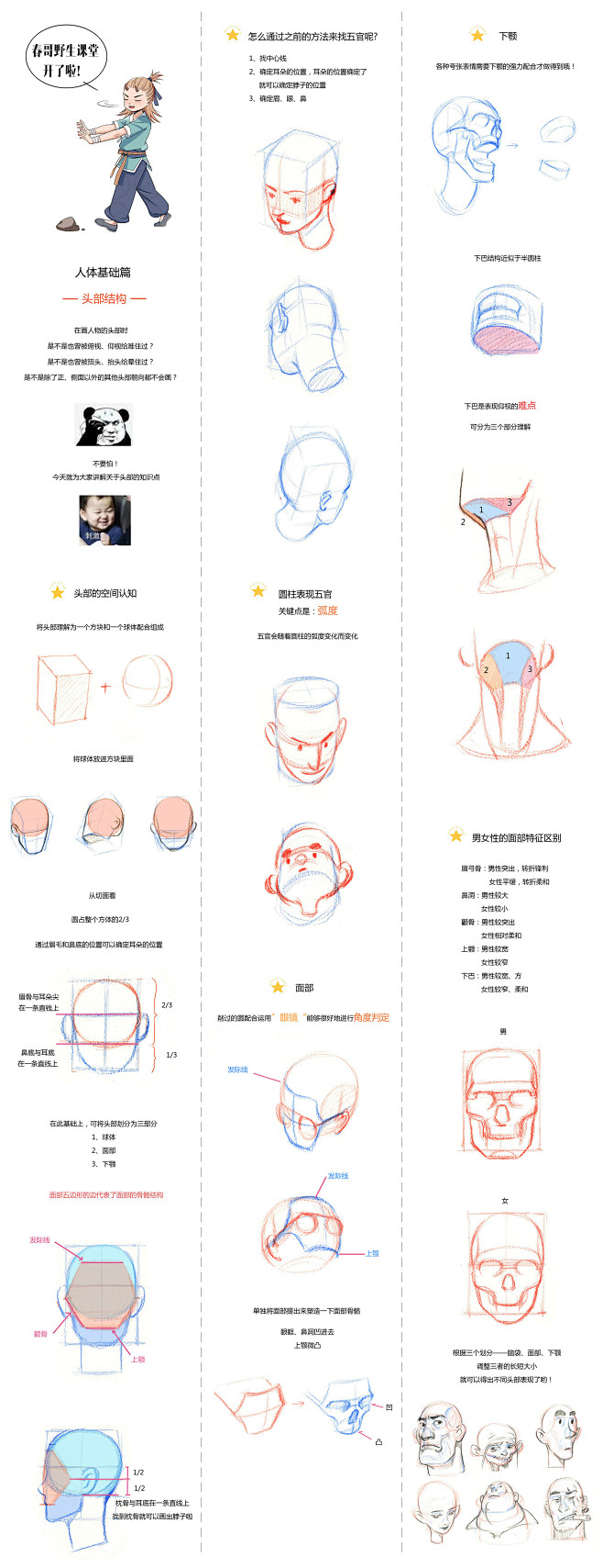 春哥野生课堂-人体基础篇-头部结构（此图...