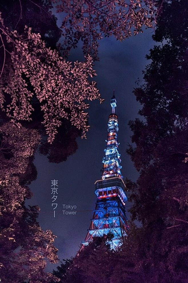 东京塔夜景 美不胜收