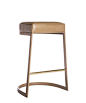 geo Bar Stool - love the shape and pop of gold at the foot rest:
