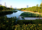 再造城市滨水景观：宁波鄞州中心区河道改造