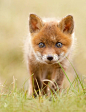 Resistance is Futile by Roeselien Raimond on 500px