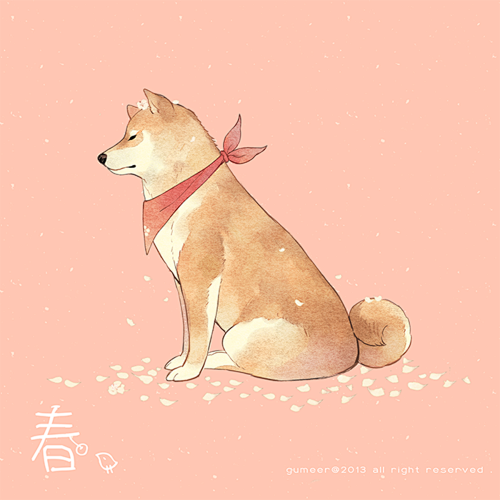 柴犬大好き-Gu✿