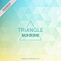 Colored triangles background Free Vector