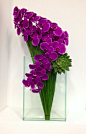 Orchid arrangement