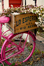 Pink bike and flowers in an old crate - swoon...