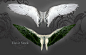 E-S Wings III by Elevit-Stock