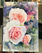 泰国水彩画家 Adisorn Pornsirikarn 水彩花卉艺术 ​​​​