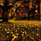Autumn, Faculty Club, Cambridge, Massachusettes
photo via ensphere