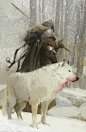 wolf viking.jpg