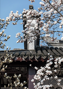 萌霸天采集到景