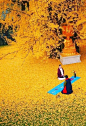 自古逢秋悲寂寥[心]中国最美银杏树，燃尽了这一秋的金黄，终于在这样的初冬绽放。何止一个美字了得~ ​​​​
