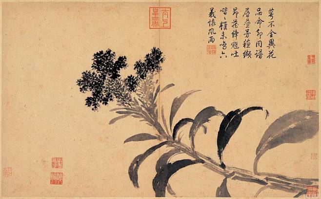 明 沈周 雞冠花
沈周（1427-150...