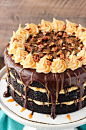 Turtle Chocolate Layer Cake! Layers of moist chocolate cake, caramel icing, chocolate ganache and pecans! So good!