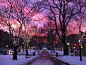 冬季日落，波士顿