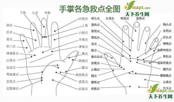 手掌对应器官全解  哪里不舒服按哪里