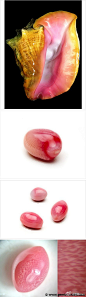 孔克珠(Conch Pearls)产于中南美洲、加勒比海的海域，生长于海螺体内，无法人工养殖，当地居民会在食用海螺肉，但在食用前往往会先在海螺尖端开个洞，看是否有孔克珠，若有则如获至宝一般。颜色常见于粉红-红色之间，易与珊瑚混淆，但仔细看孔克珠表面有着似火焰状的光彩。